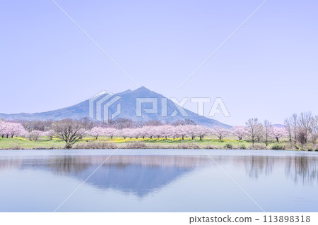 春天的筑波山元子島水庫 春天的筑波山元子島水庫 113898318