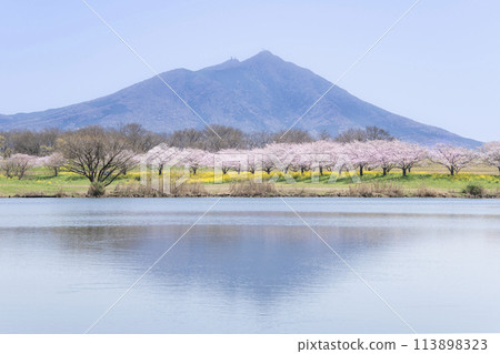 Spring at Mount Tsukuba, Hahakojima Reservoir 113898323