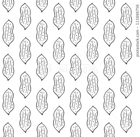 Vector seamless pattern of peanut nut Vector seamless pattern of peanut nut 113898756