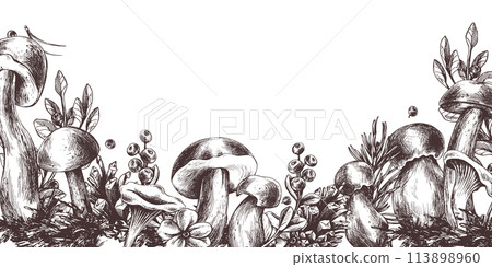 Forest mushrooms, boletus, chanterelles and blueberries, lingonberries, twigs, cones, leaves. Graphic illustration hand drawn in black ink. border, template EPS vector. 113898960