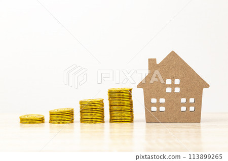 房屋模型和玩具金幣 房屋模型和玩具金幣 113899265