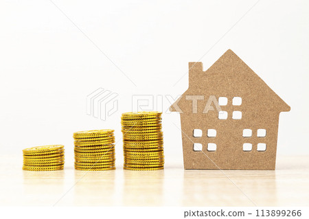 房屋模型和玩具金幣 房屋模型和玩具金幣 113899266