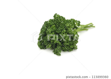 Parsley 113899360