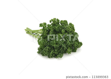 Parsley 113899363