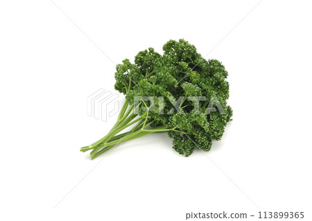 Parsley 113899365