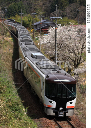 春季在高山本線運行的特急飛鎢 113899825