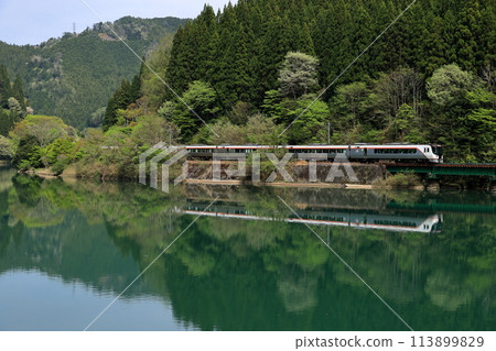 在新鮮的綠色高山本線上行駛的特快飛騨 在新鮮的綠色高山本線上行駛的特快飛騨 113899829