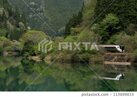Limited Express Hida running on the fresh green Takayama Main Line Limited Express Hida running on the fresh green Takayama Main Line 113899833