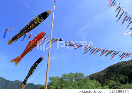 Carp streamers ferrying across the river: a seasonal sight in spring (Tokawa, Shimanto Town, Kochi Prefecture) Carp streamers ferrying across the river: a seasonal sight in spring (Tokawa, Shimanto Town, Kochi Prefecture) 113899874