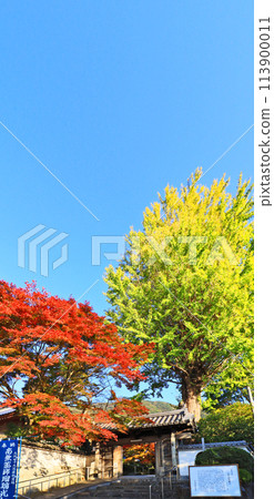 Obaku sect temple Fukujuji autumn leaves and postern in Kitakyushu City, Fukuoka Prefecture 113900011