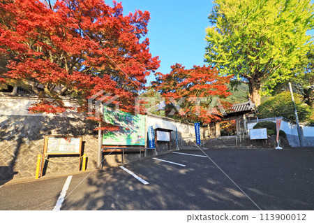 福岡縣北九州市奧巴庫宗廟福壽寺秋葉與海報 福岡縣北九州市奧巴庫宗廟福壽寺秋葉與海報 113900012