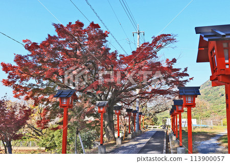 福岡縣北九州市小倉北區足立山妙見宮的秋天 113900057