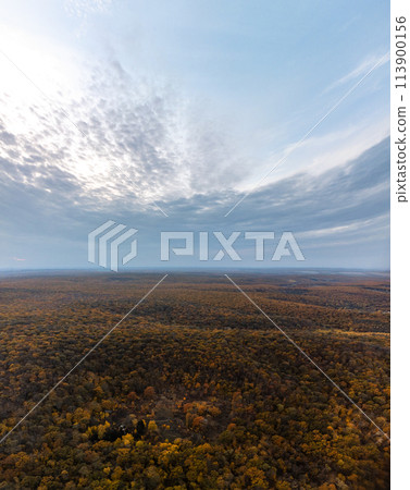 Autumn aerial colorful forest on hills scenery 113900156