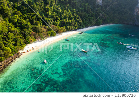 Aerial view of monkey beach in Koh Phi Phi island in Krabi, Thailand 113900726