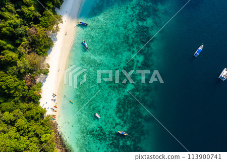 Aerial view of monkey beach in Koh Phi Phi island in Krabi, Thailand 113900741