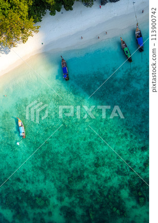 Aerial view of monkey beach in Koh Phi Phi island in Krabi, Thailand 113900742
