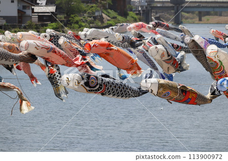 鯉魚旗在河中游弋 鯉魚旗在河中游弋 113900972