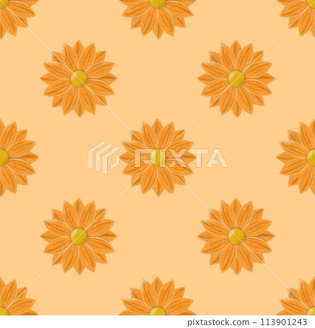 seamless pattern with yellow daisy flowers 113901243