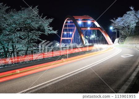 Zuikoji Bridge and cherry blossoms at night 113901955
