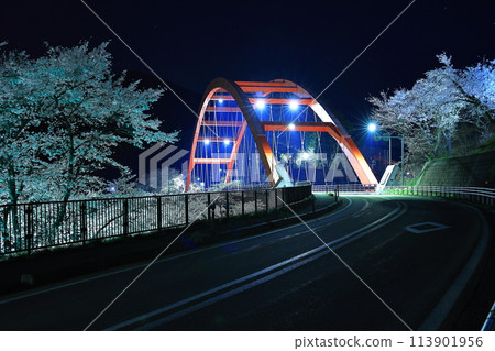 瑞光寺橋和夜晚的櫻花 113901956