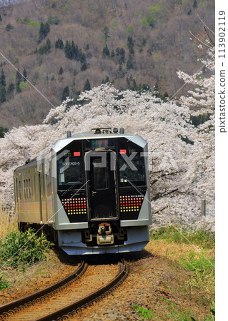 The Ban'etsu West Line running through cherry blossoms 113902119
