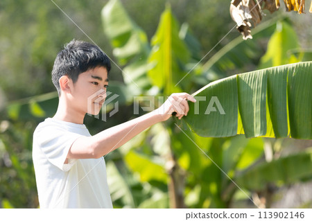 香蕉葉和熱帶男孩 113902146