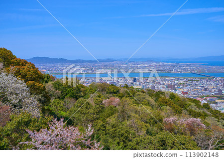 Spring view of Tokushima city (northeast side) from Bizan Park in Bizan Town, Tokushima City, Tokushima Prefecture Spring view of Tokushima city (northeast side) from Bizan Park in Bizan Town, Tokushima City, Tokushima Prefecture 113902148