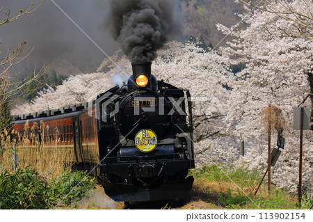 The Ban'etsu Monogatari train on the Ban'etsu West Line running among cherry blossoms The Ban'etsu Monogatari train on the Ban'etsu West Line running among cherry blossoms 113902154