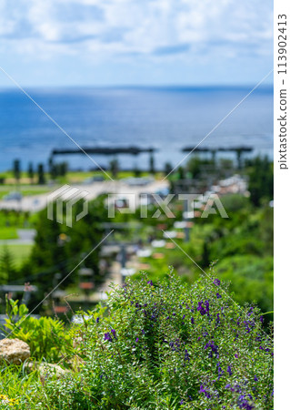 Okinawa Prefecture Miyakojima City Island Heaven Summer Vacation Airplane Morning Clouds Shigira Resort Hotel Ocean Sky 113902413