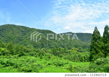 從北陸本線敦賀站到米原站的車窗所看到的景色（2022年夏季） 113902519