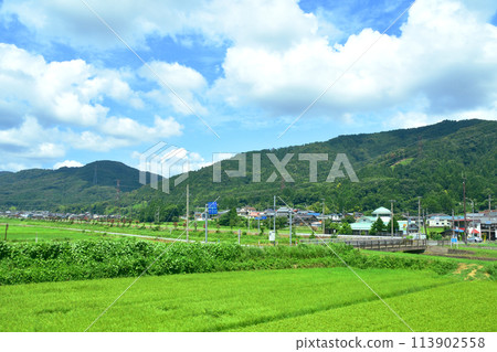 Scenery from the train window from Tsuruga Station to Maibara Station on the Hokuriku Main Line (Summer 2022) 113902558