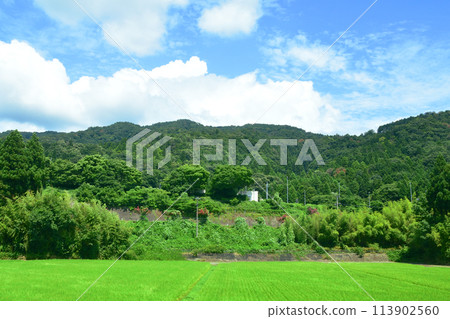從北陸本線敦賀站到米原站的車窗所看到的景色(2022年夏季) 從北陸本線敦賀站到米原站的車窗所看到的景色(2022年夏季) 113902560