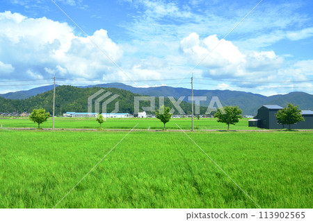 從北陸本線敦賀站到米原站的車窗所看到的景色（2022年夏季） 113902565