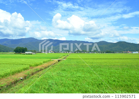 Scenery from the train window from Tsuruga Station to Maibara Station on the Hokuriku Main Line (Summer 2022) 113902571
