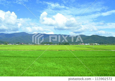 Scenery from the train window from Tsuruga Station to Maibara Station on the Hokuriku Main Line (Summer 2022) 113902572