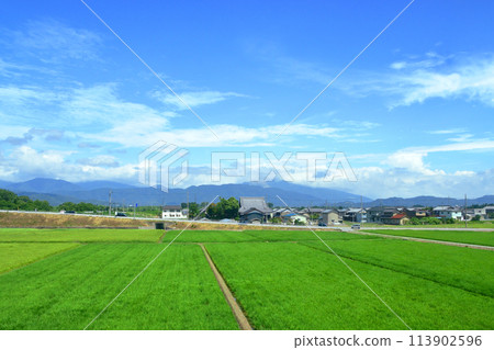 從北陸本線敦賀站到米原站的車窗所看到的景色(2022年夏季) 從北陸本線敦賀站到米原站的車窗所看到的景色(2022年夏季) 113902596