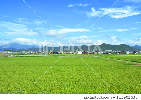 Scenery from the train window from Tsuruga Station to Maibara Station on the Hokuriku Main Line (Summer 2022) 113902633