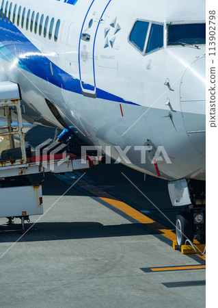 沖繩縣，宮古島市，度假島，暑假，飛機，宮古機場，早上，雲，全日空，托運行李，貨物 113902798