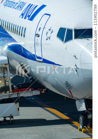 Okinawa Prefecture Miyakojima City Resort Island Summer Vacation Airplane Miyako Airport Morning Clouds ANA Checked Baggage Cargo 113902799