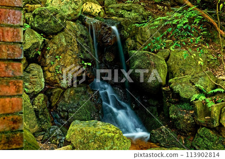 Kyoto scenery: Green leaves 113902814