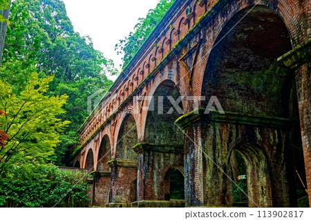 Kyoto scenery: Green leaves 113902817