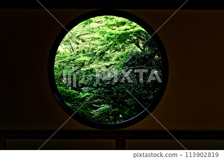 Kyoto scenery: Green leaves Kyoto scenery: Green leaves 113902819