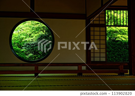 京都風景/綠葉 京都風景/綠葉 113902820