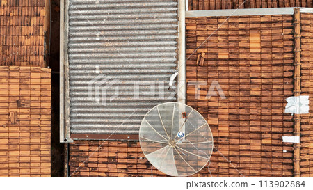 cat on house roof cat on house roof 113902884