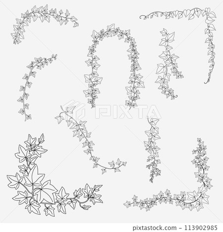 Floral ivy drawing decorative ornament flat design collection. Floral ivy drawing decorative ornament flat design collection. 113902985