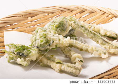 [Yamagata Prefecture] Kogomi Tempura 113903113