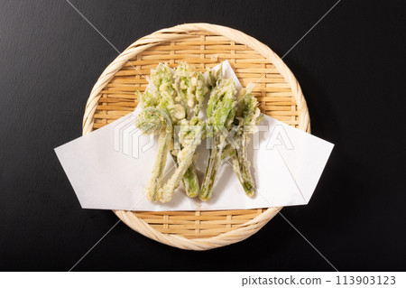 [Yamagata Prefecture] Kogoumi and Kosiabura wild vegetable tempura 113903123