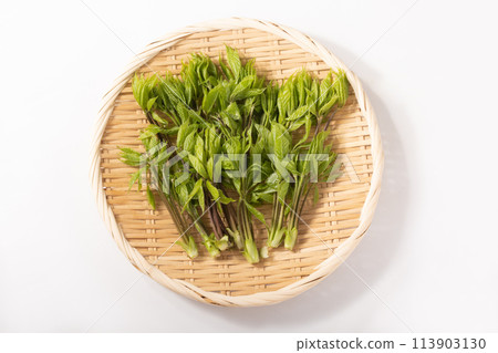 [Yamagata Prefecture] Koshiabura (wild vegetable) 113903130