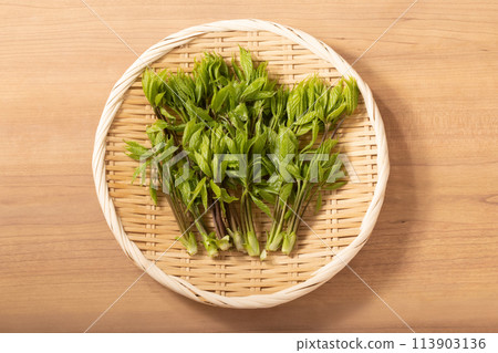 [山形縣產] Kosiabura（野菜） 113903136