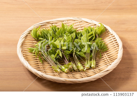 [Yamagata Prefecture] Koshiabura (wild vegetable) 113903137